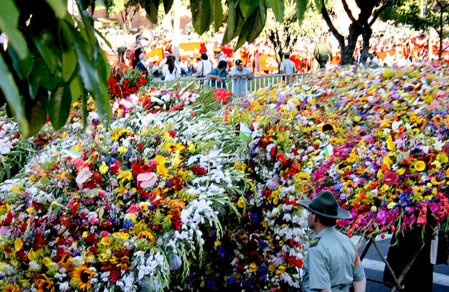 Descubre Medellín